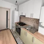 Rent 1 bedroom apartment in Oancea