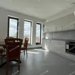 Rent 5 bedroom apartment of 55 m² in Kecskemét