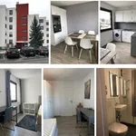 Rent 3 bedroom apartment in Stuttgart