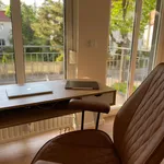 Rent 2 bedroom apartment of 55 m² in Dresden