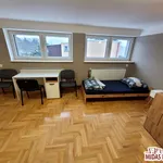 Rent 10 bedroom house of 280 m² in Włocławek