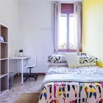 Rent a room in padua