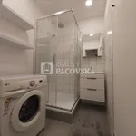 Rent 1 bedroom apartment of 63 m² in Ústí nad Labem