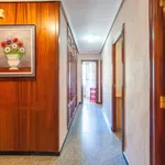 Rent 4 bedroom house in Valencia