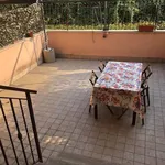 Rent 3 bedroom apartment of 60 m² in Roma