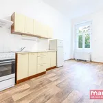 Rent 1 bedroom apartment of 44 m² in Praha