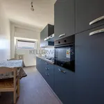 Rent 3 bedroom apartment of 85 m² in Milano