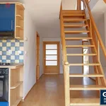 Rent 4 bedroom apartment of 155 m² in Praha