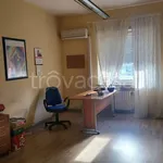 Affitto 5 camera appartamento di 142 m² in Catania