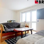 Rent 3 bedroom apartment of 67 m² in Brno