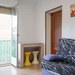 Rent a room in madrid