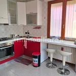 Rent 4 bedroom apartment of 90 m² in Bologna