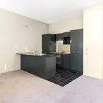 Rent 2 bedroom apartment in Auckland