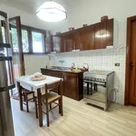 Rent 3 bedroom apartment of 150 m² in pietrasanta