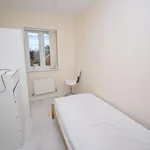 Rent 4 bedroom apartment in Wales