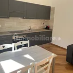 Rent 2 bedroom apartment of 60 m² in Rome