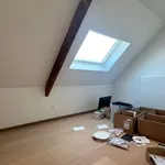 Huur 4 slaapkamer huis van 1050 m² in Dikkelvenne