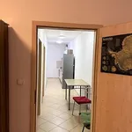 Rent 1 bedroom apartment of 20 m² in Brno