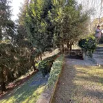 Rent 8 bedroom house of 358 m² in Moncalieri