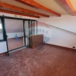 Affitto 2 camera appartamento di 63 m² in 14
 
 Acireale