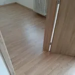 Rent 2 bedroom apartment of 33 m² in Ústí nad Labem