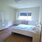 Rent 4 bedroom apartment of 100 m² in Trieste