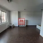 Rent 1 bedroom apartment of 43 m² in Olomouc