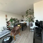 Huur 1 slaapkamer appartement in Antwerpen