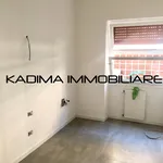 Rent 1 bedroom apartment of 80 m² in Rome