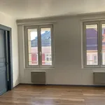 Appartement de 30 m² avec 1 chambre(s) en location à ALTKIRCH