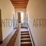 Rent 6 bedroom house of 240 m² in San Giorgio Bigarello