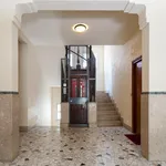 Rent 1 bedroom apartment in Rome