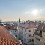 Rent 5 bedroom apartment in Prague