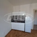 Rent 1 bedroom apartment of 22 m² in Praha