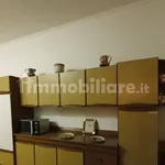 Rent 4 bedroom apartment of 100 m² in Turin