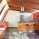 Rent 1 bedroom apartment of 40 m² in Mexico City