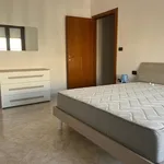 Rent 3 bedroom apartment of 75 m² in Brindisi