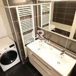 Rent 3 bedroom apartment of 69 m² in Brno