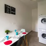 Rent 4 bedroom apartment in Grenoble