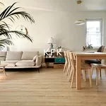 Rent 3 bedroom apartment of 57 m² in Toruń