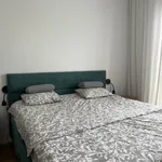 Rent 4 bedroom house in Hradec Králové