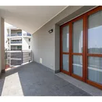 Rent 2 bedroom apartment of 68 m² in Milano