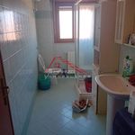 Rent 1 bedroom apartment of 40 m² in Pisa