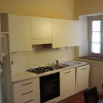 Rent 2 bedroom apartment of 45 m² in Montelupo Fiorentino