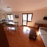 Rent 3 bedroom apartment of 80 m² in Pinzolo