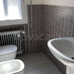 Rent 1 bedroom apartment of 100 m² in Mantova