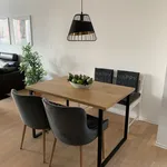 Miete 1 Schlafzimmer wohnung von 60 m² in Frankfurt