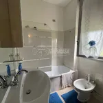 Rent 3 bedroom apartment of 60 m² in Viareggio