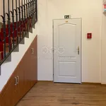 Rent 4 bedroom apartment of 110 m² in Plzeň