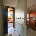 Rent 2 bedroom apartment of 50 m² in Campobasso